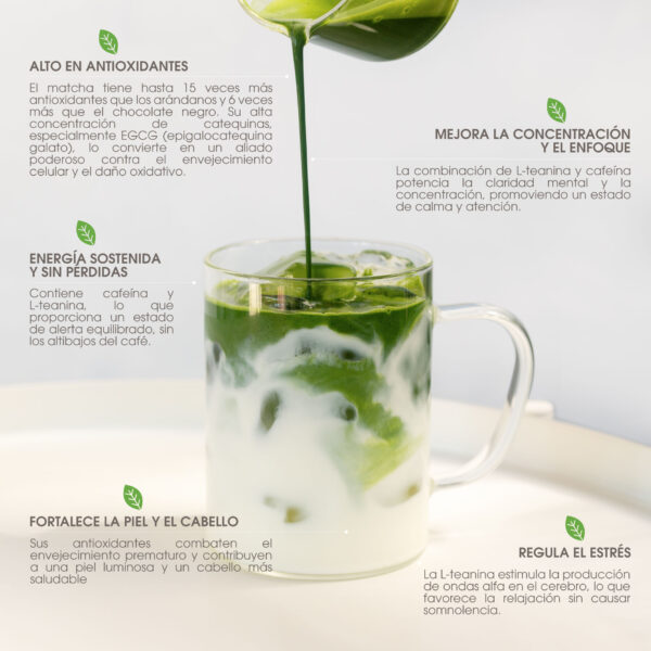 Té Matcha Master’s - Imagen 5